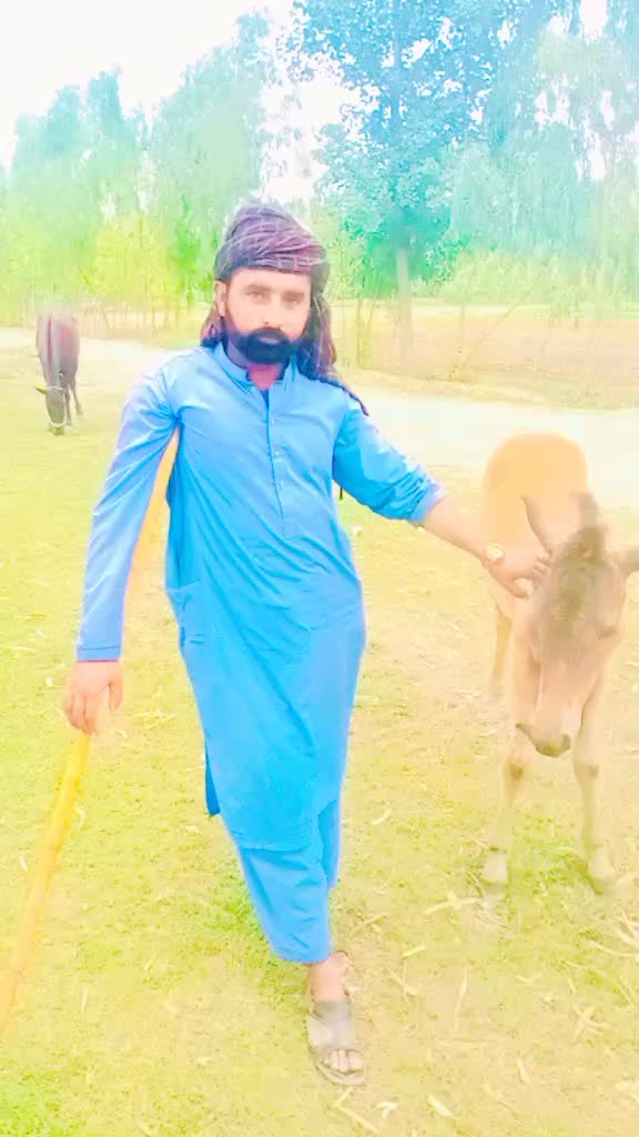 @arshad ali