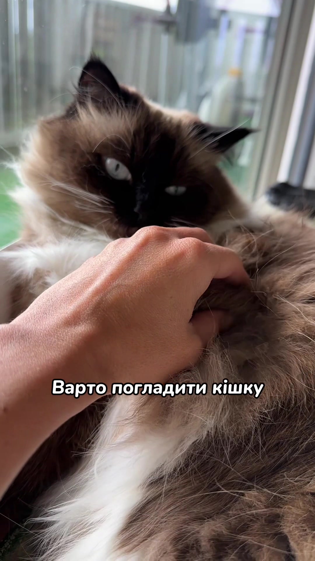 @Місс КІСЯ