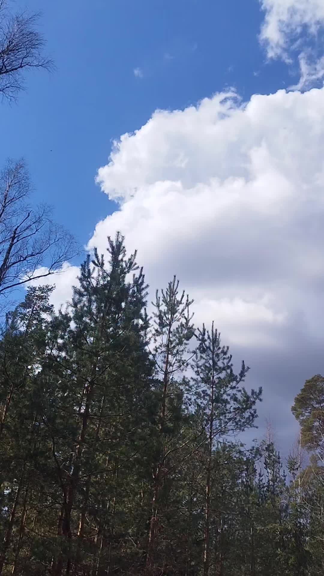 @Юлиана
