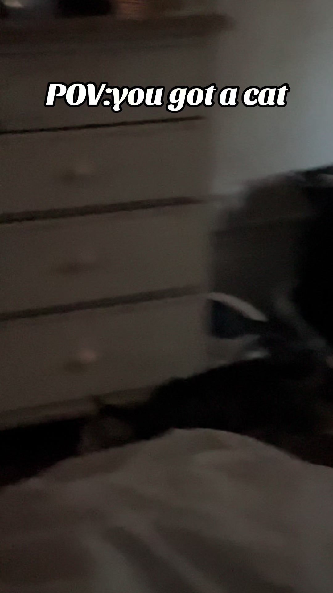 @Sabrina Tolba