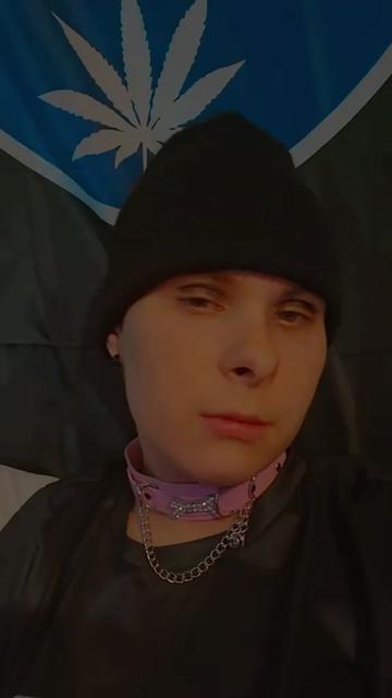 @brat_pup_420