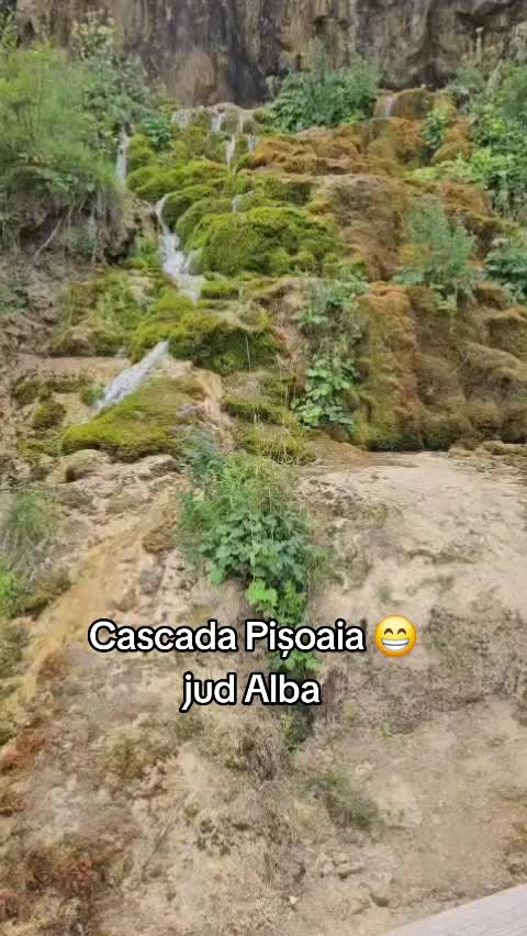 @Papychulo