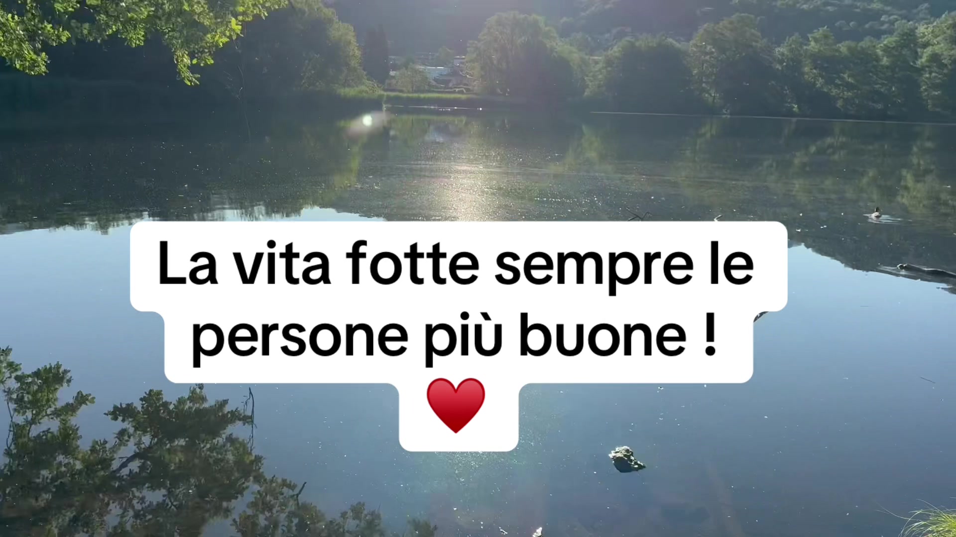 @Baby J.J ♥️