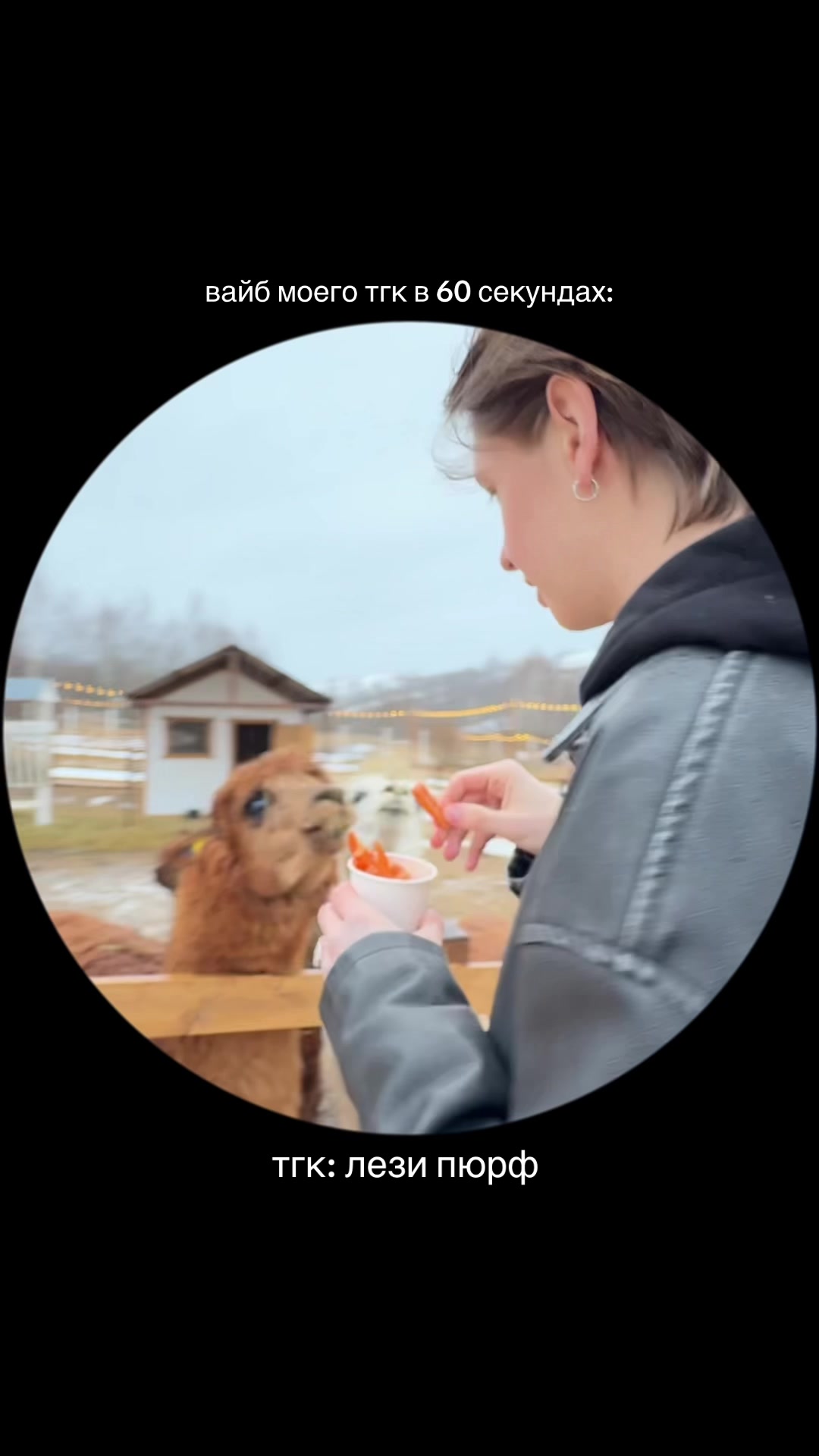 @Даня Лэйзи