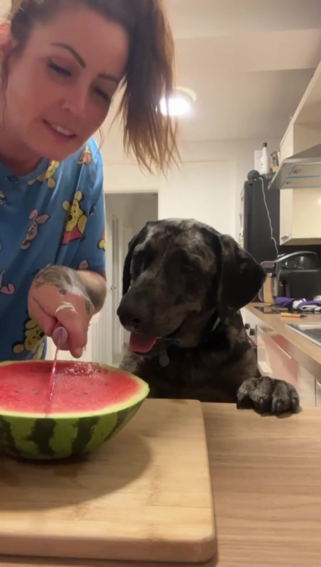 @Leotheleopardlab