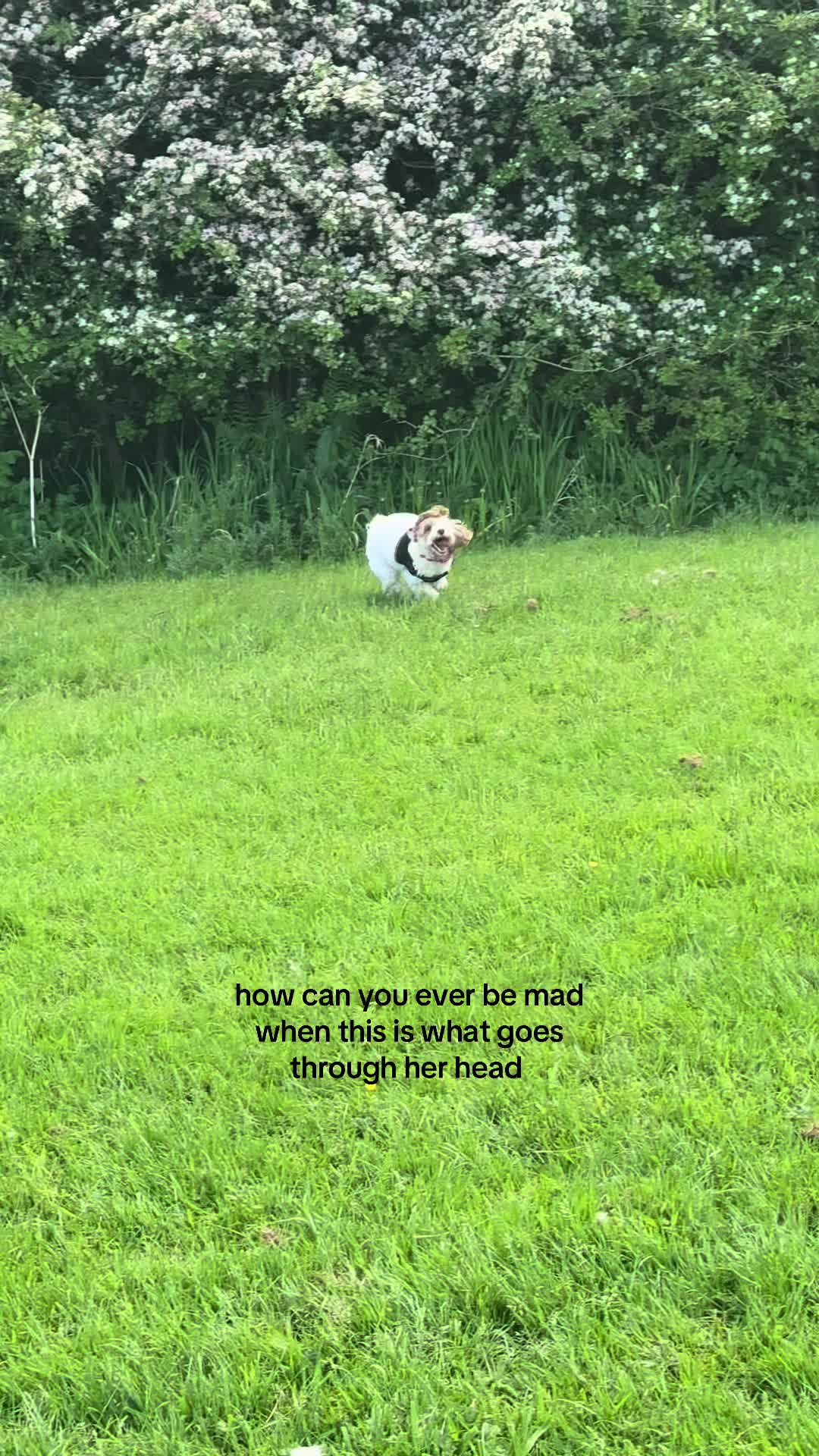 @georgia