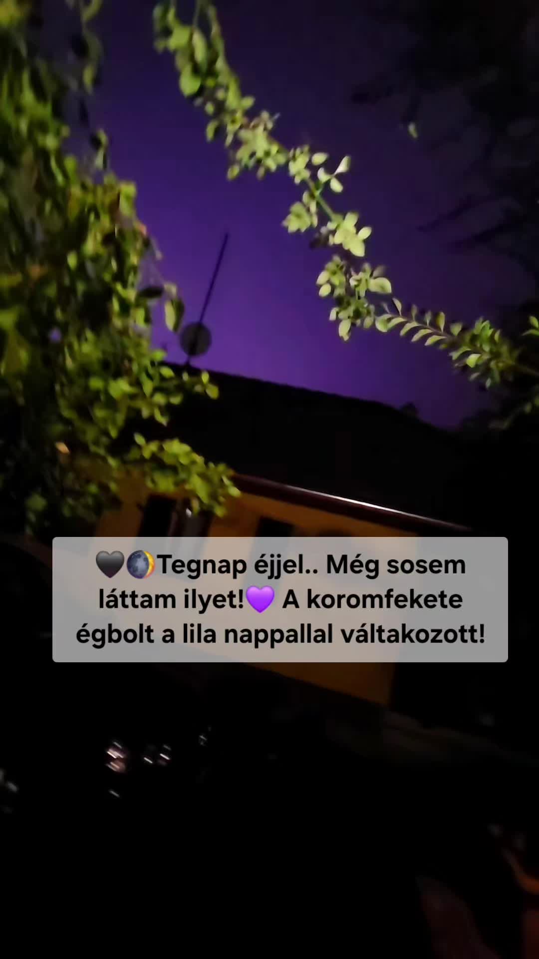 @Daisy Bukovicsné Bék