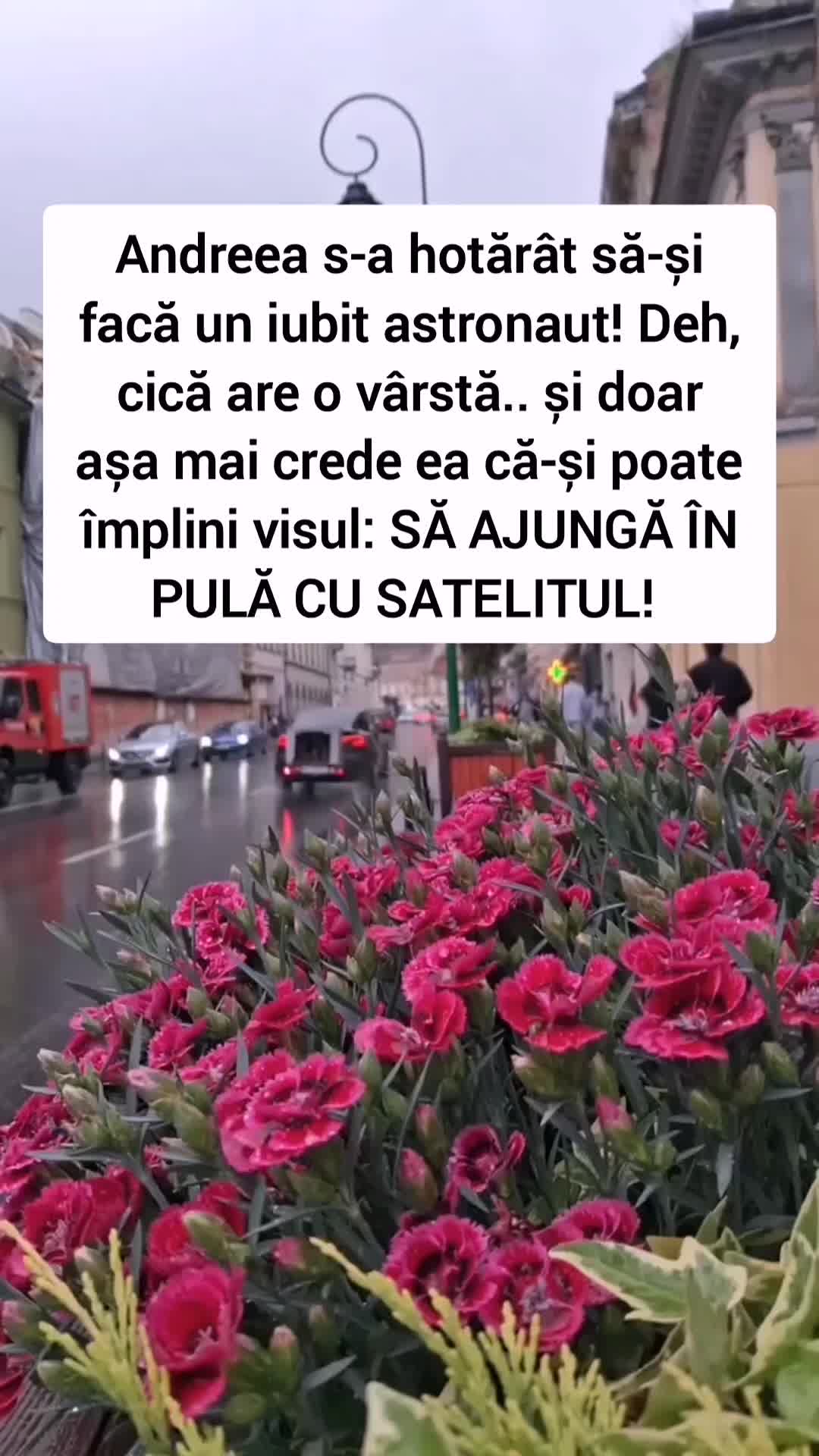@ALIN
