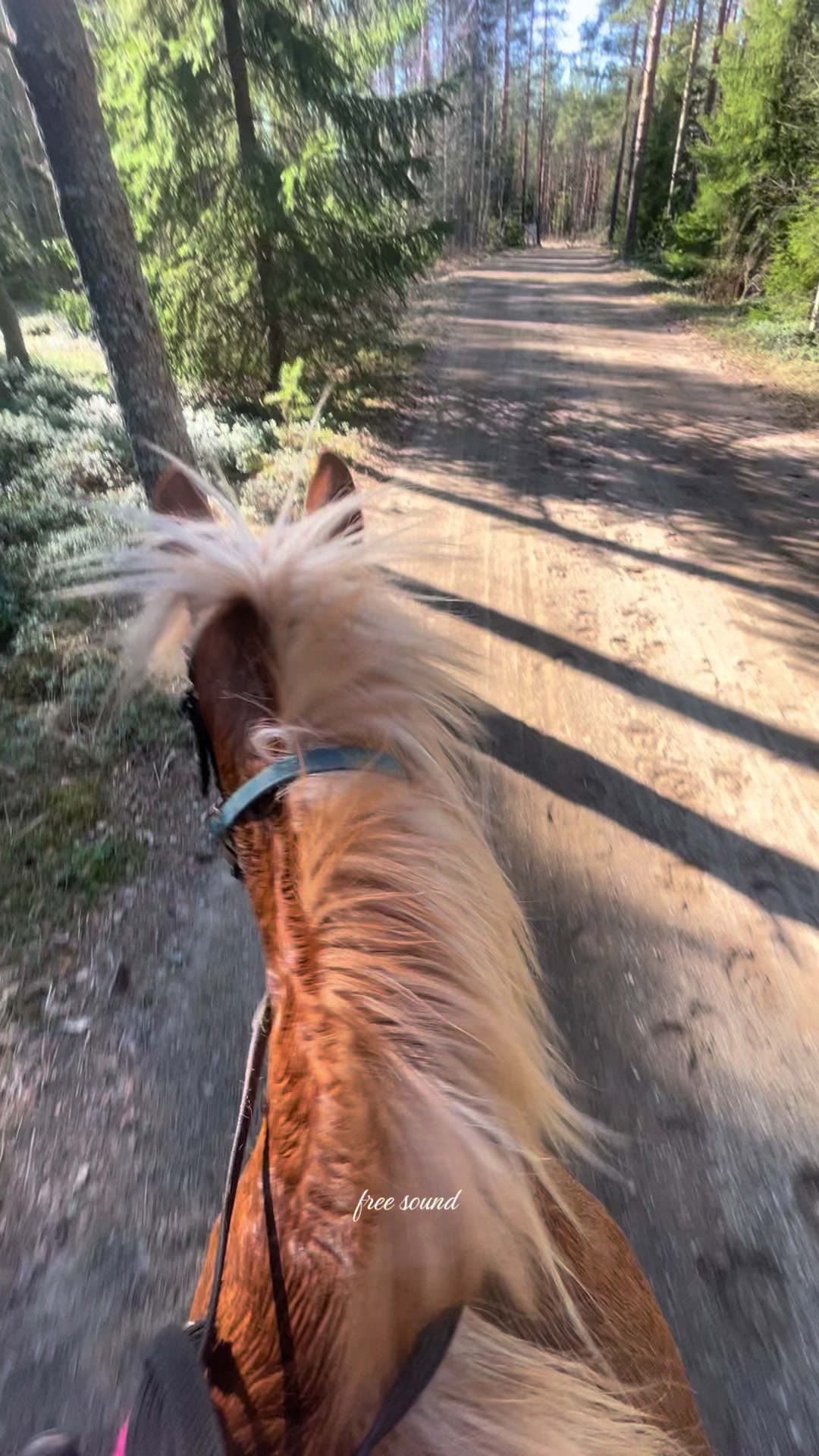 @🦄🦄