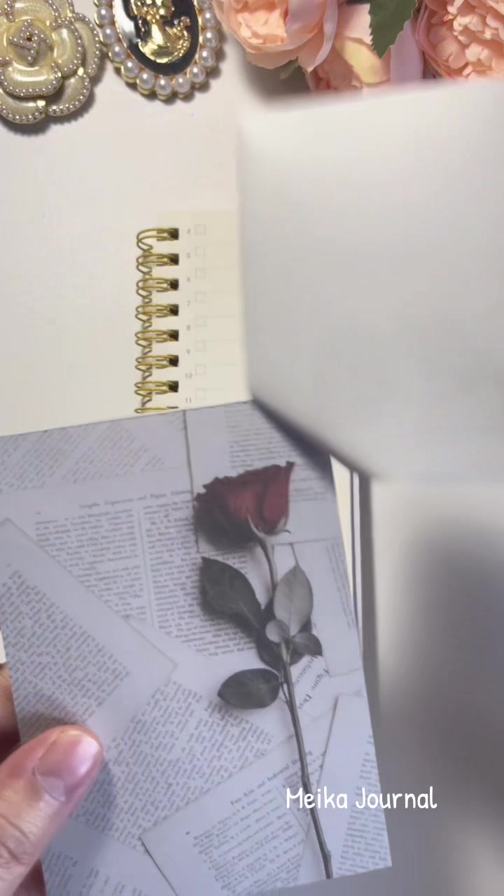 @meika_journals