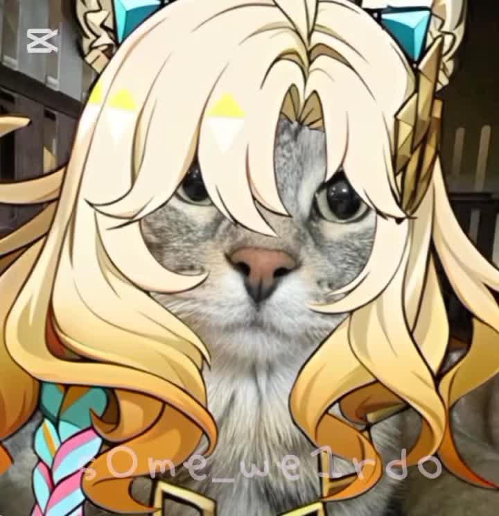 @★ columbina irl ★