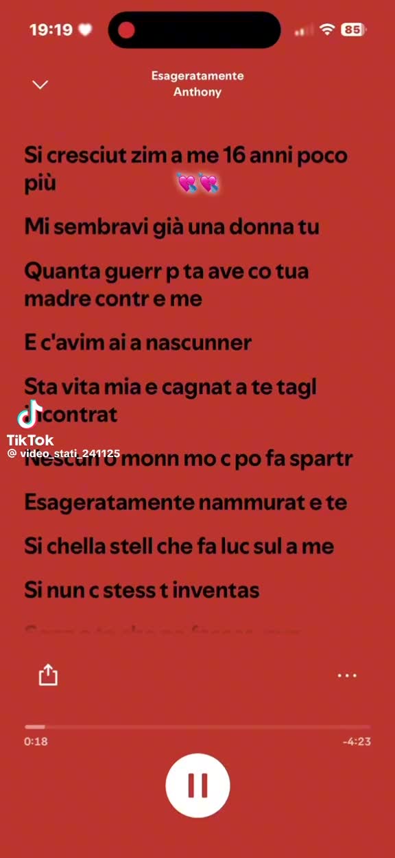 @rita ferruggia