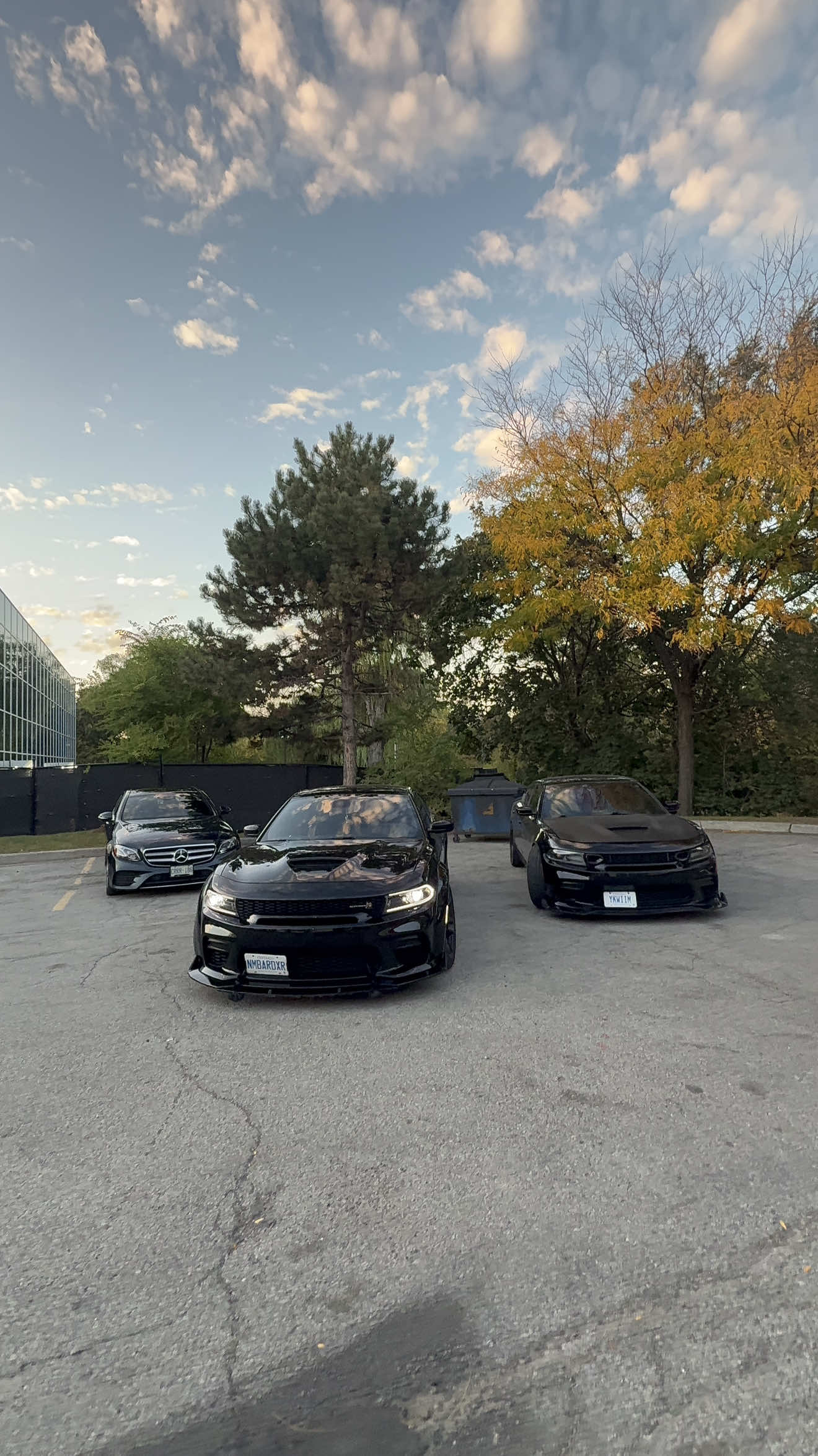 @Mafia_Detailing_Official