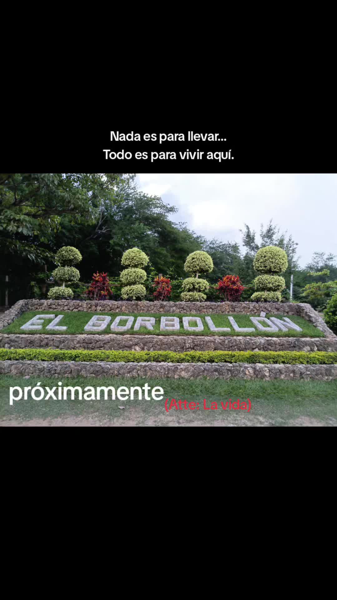 @Estrellita