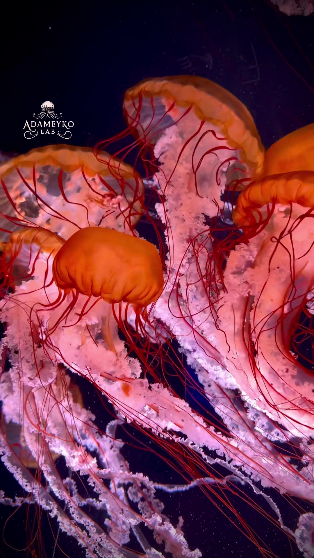 @The_story_of_a_biologist
