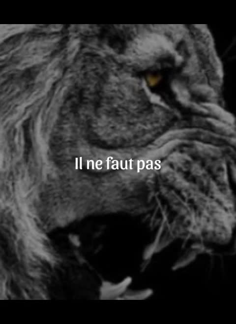 @฿Ⱡ₳₵₭₣łⱤɆ🔥🇫🇷