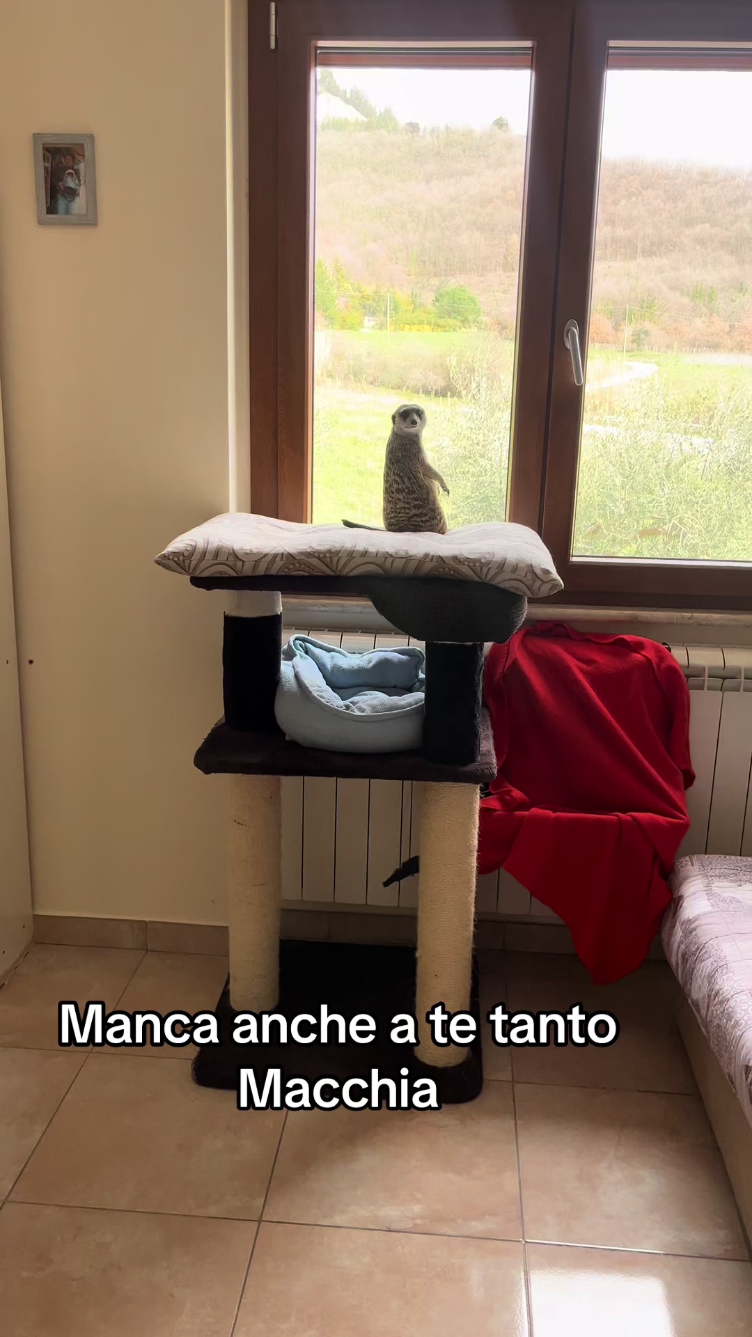 @ZiaGianna