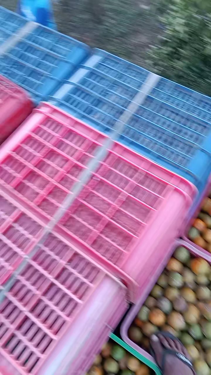 @Andyk ๐
พ๐
ฟ๐
ธ๐
ฒ๐
ธ๐
ฐ๐
ป