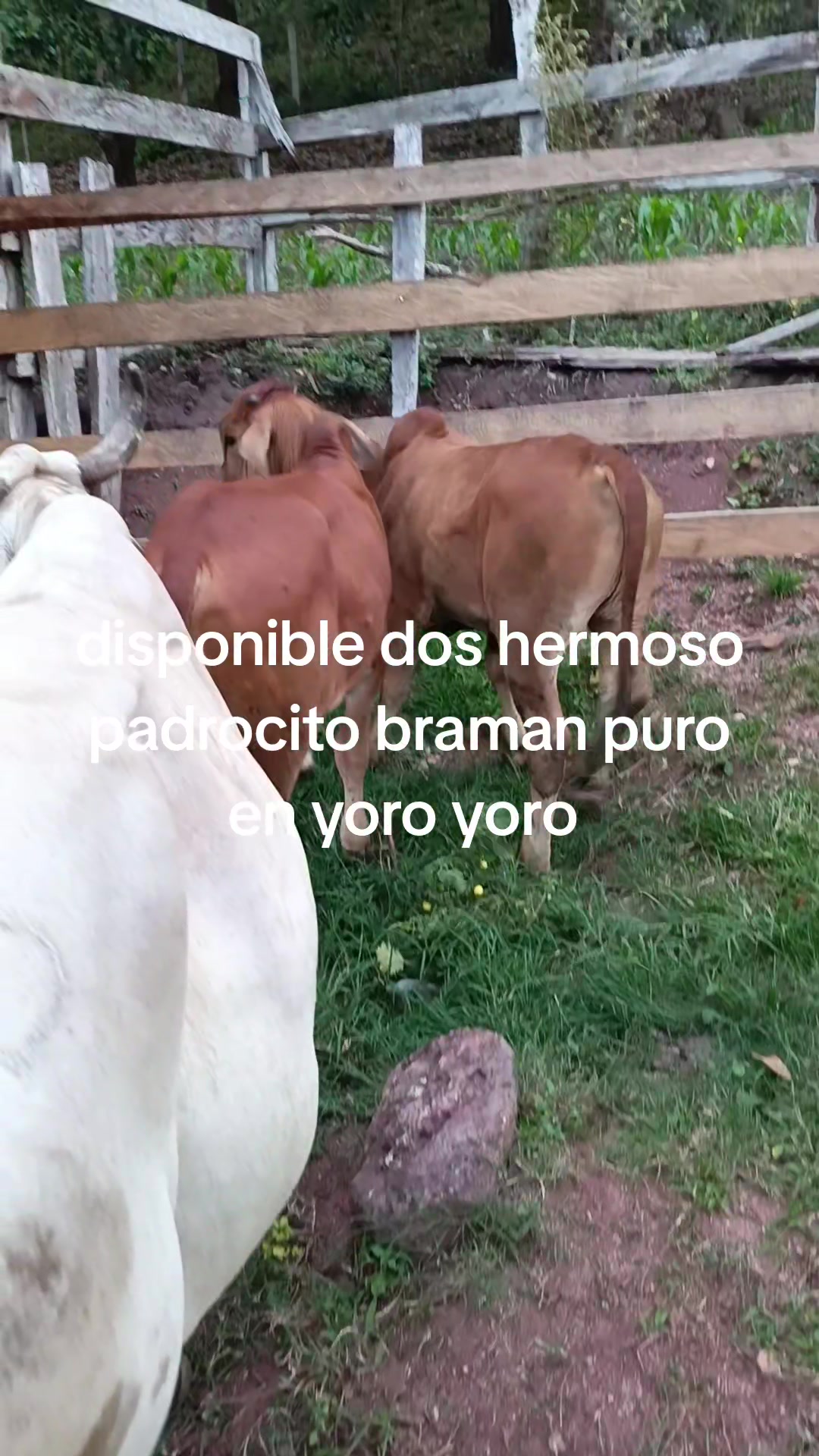 @maykel Mej&iacute;a