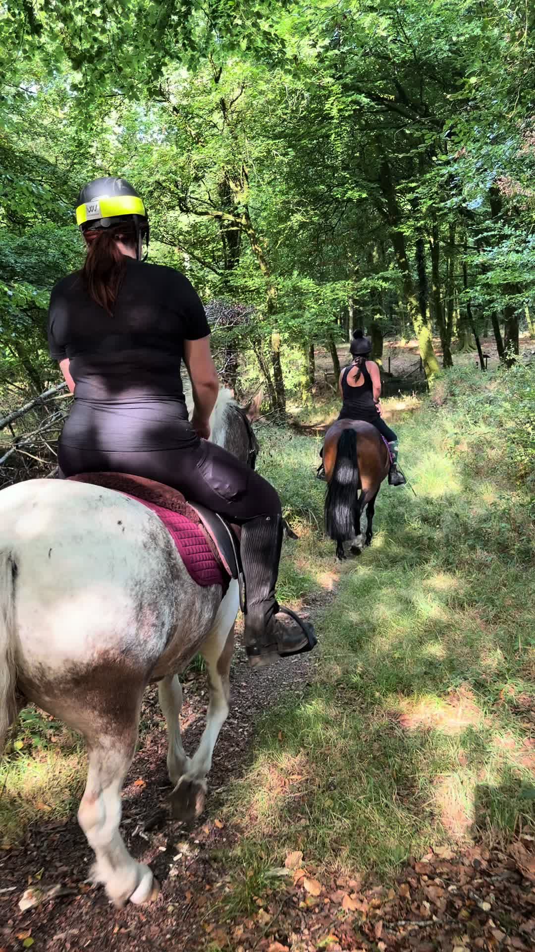 @Dartmoor Carriages