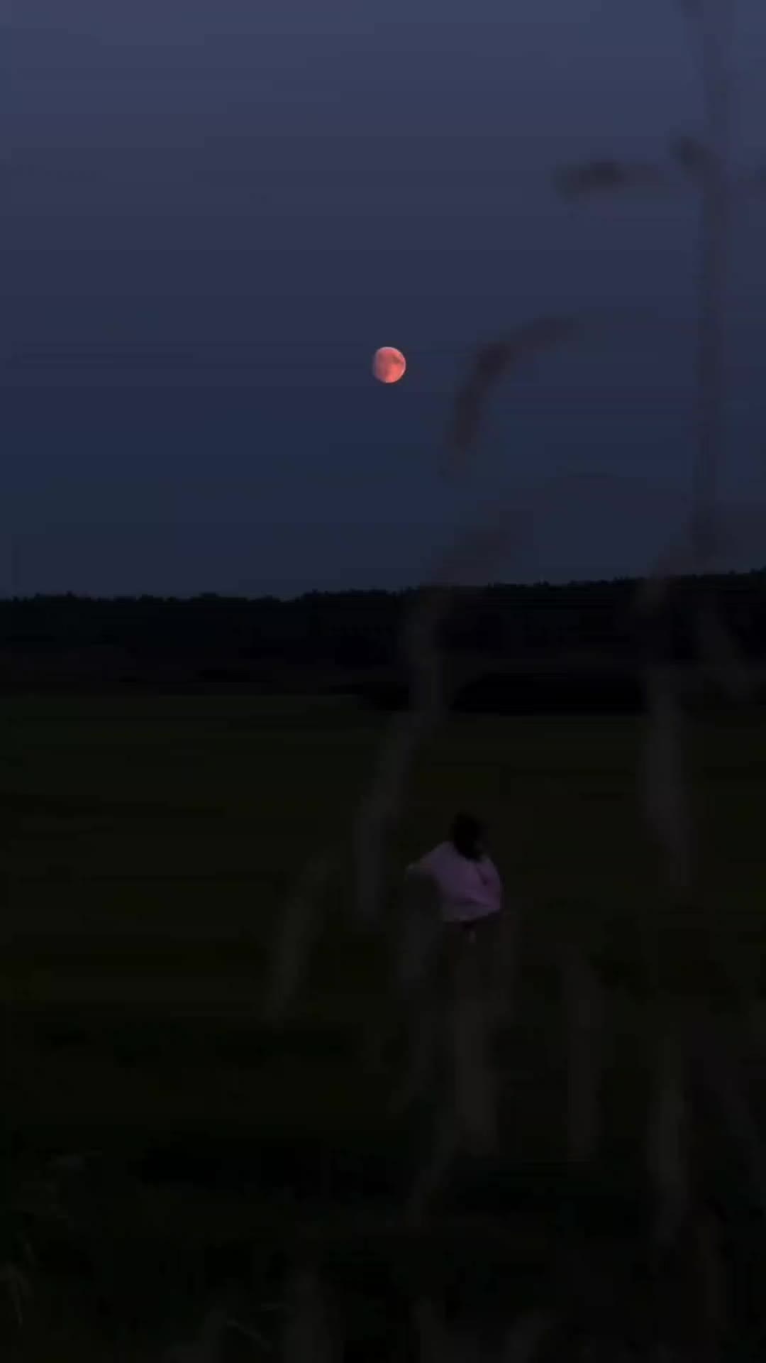 @ᗩ&alpha;ѕ&upsilon; Ɩуя&iota;cѕ...