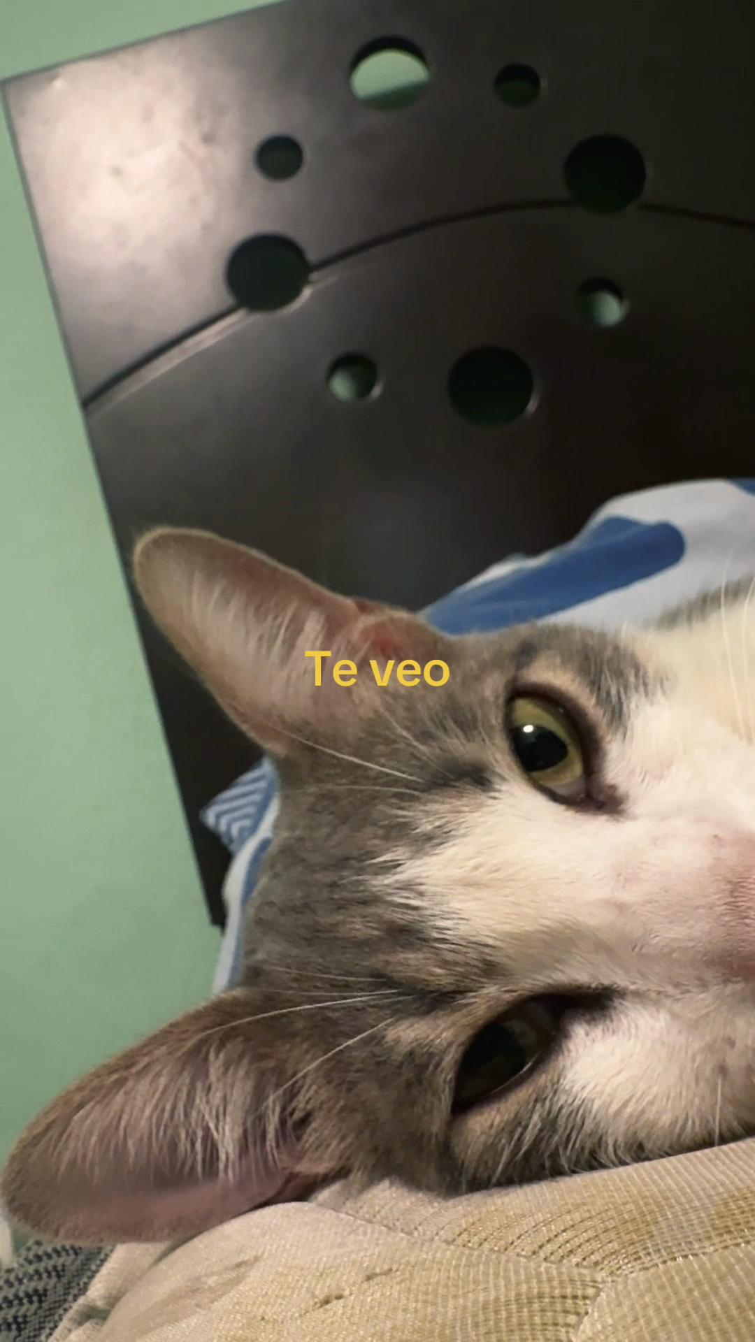 @Nao