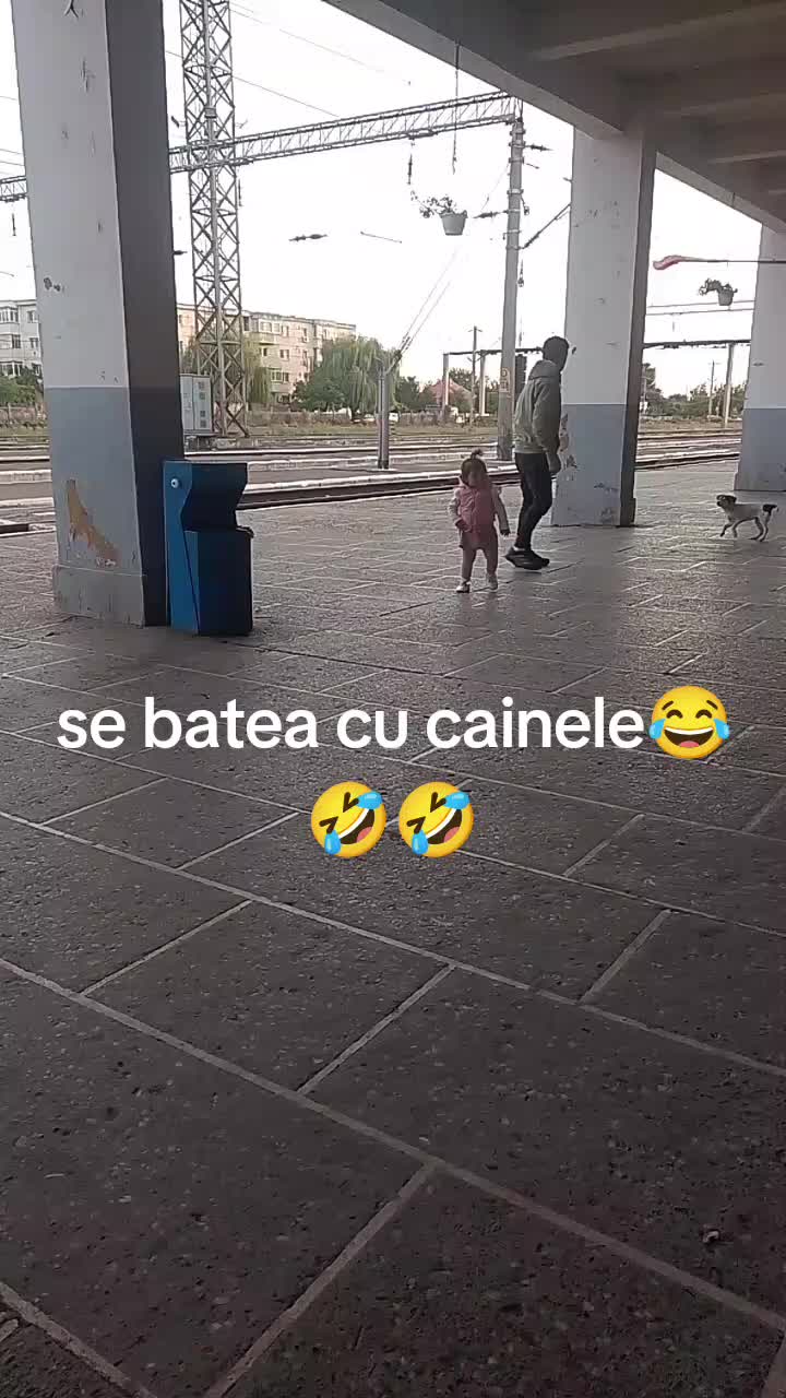 @Andreea Perca