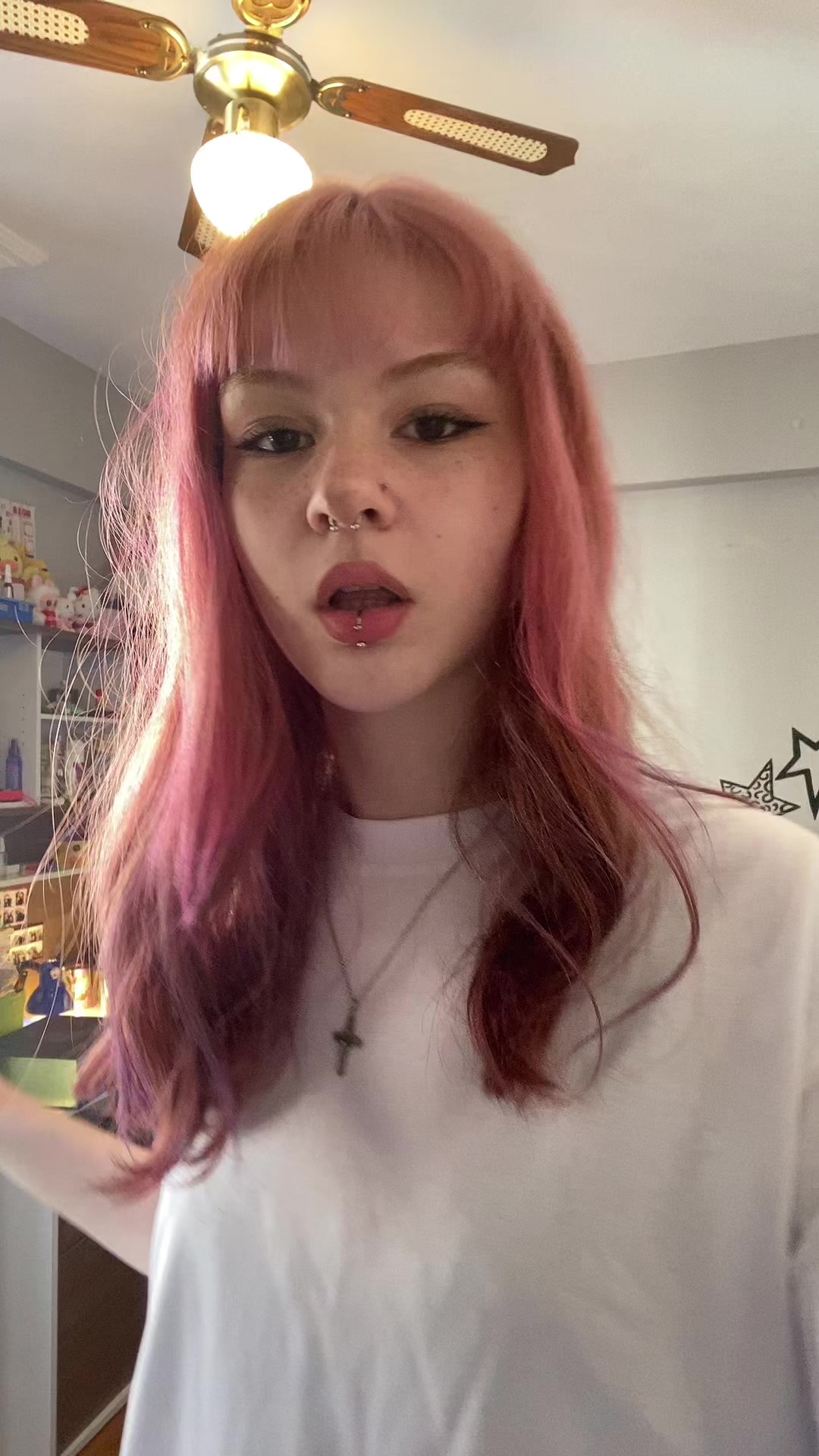 @maya
