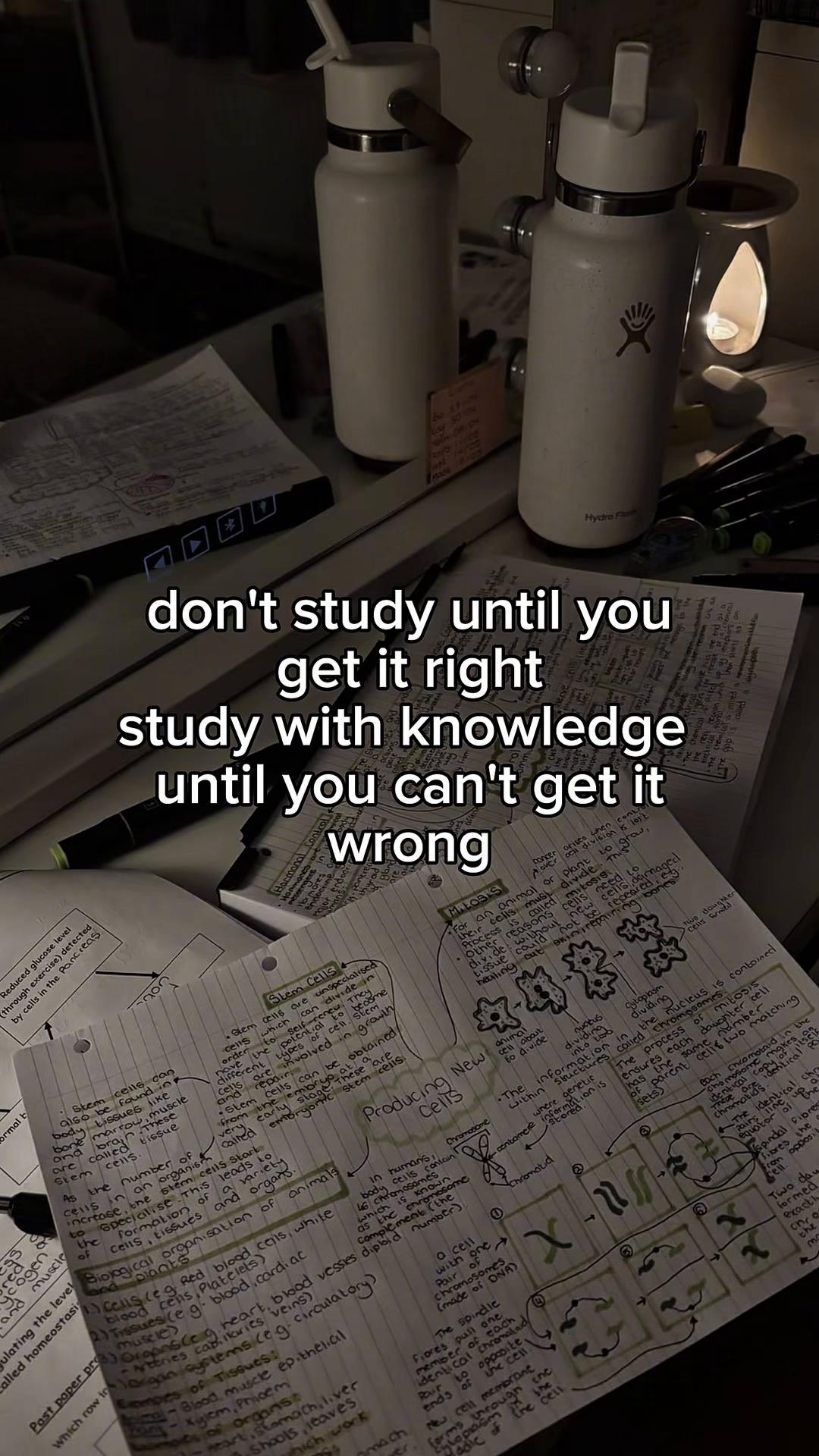 @luzstudy.17