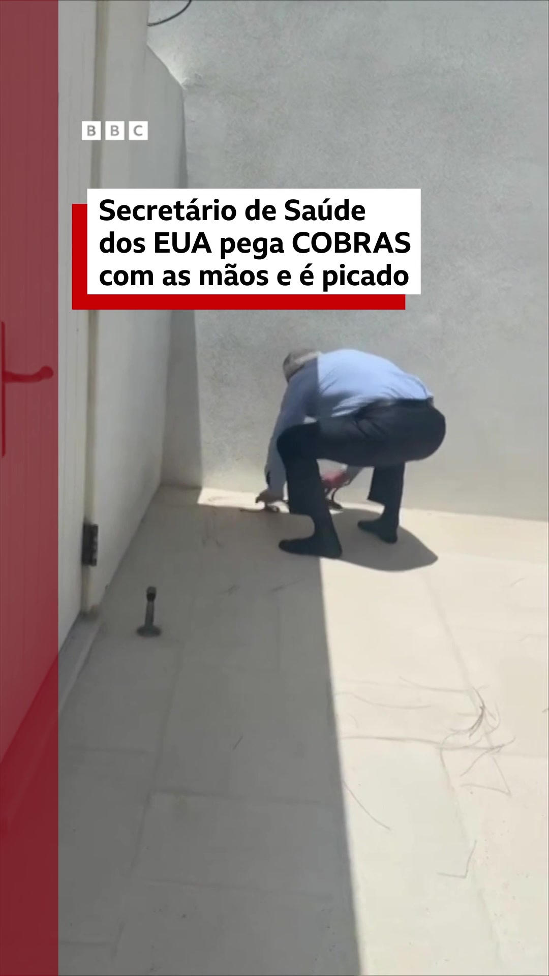 @BBC News Brasil