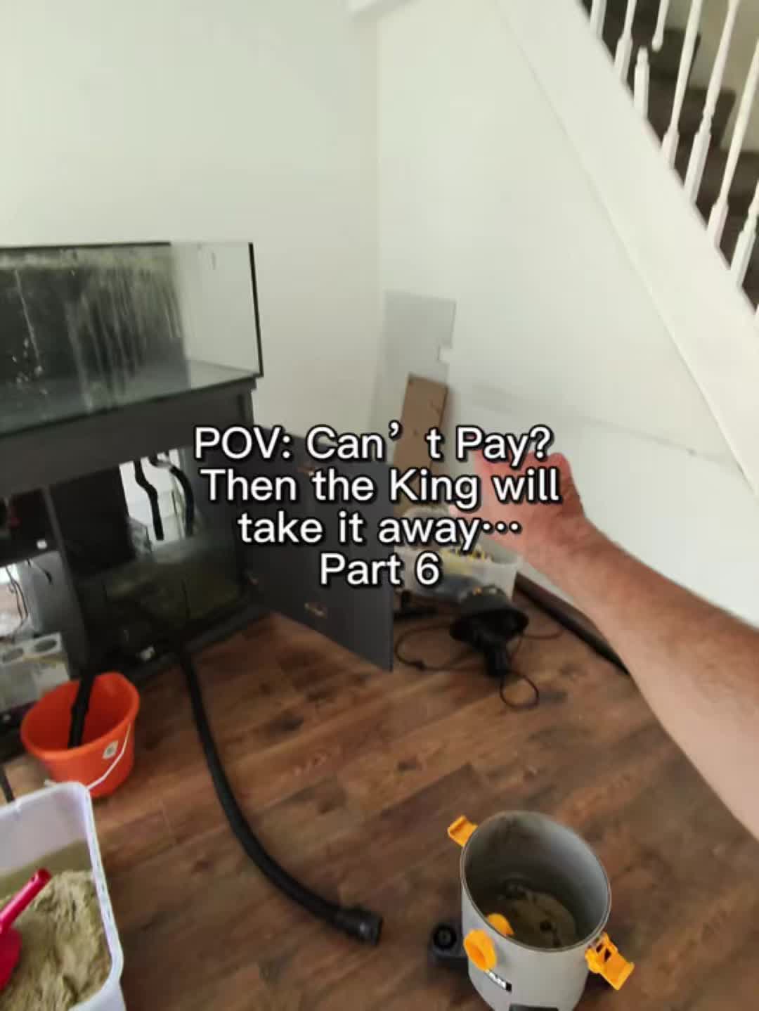 @The King of Coral
