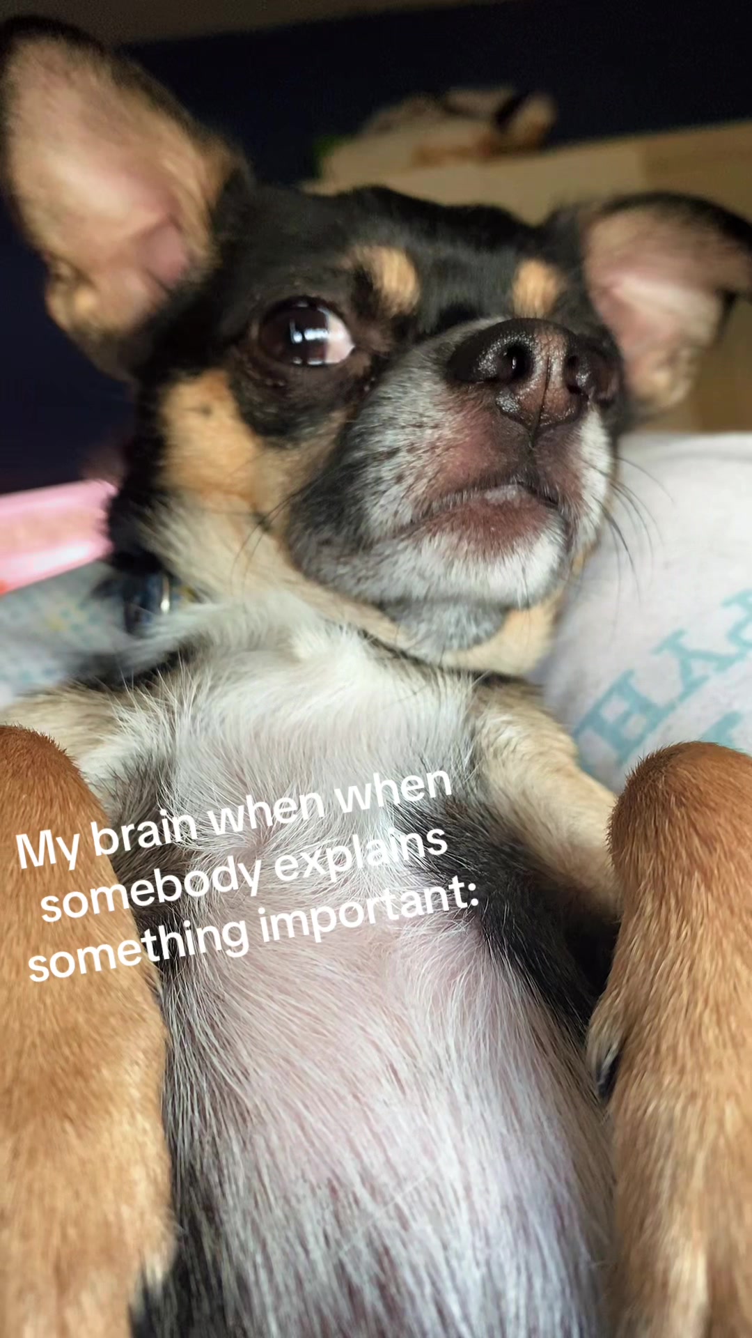 @CL4PCHEEKS