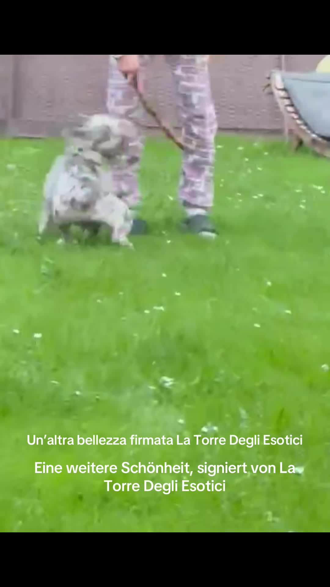 @La Torre Degli Esotici