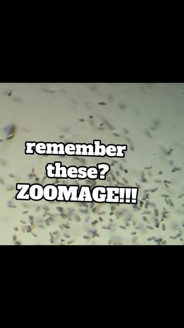 @Smeee❌microscope🏴󠁧󠁢󠁥󠁮󠁧󠁿