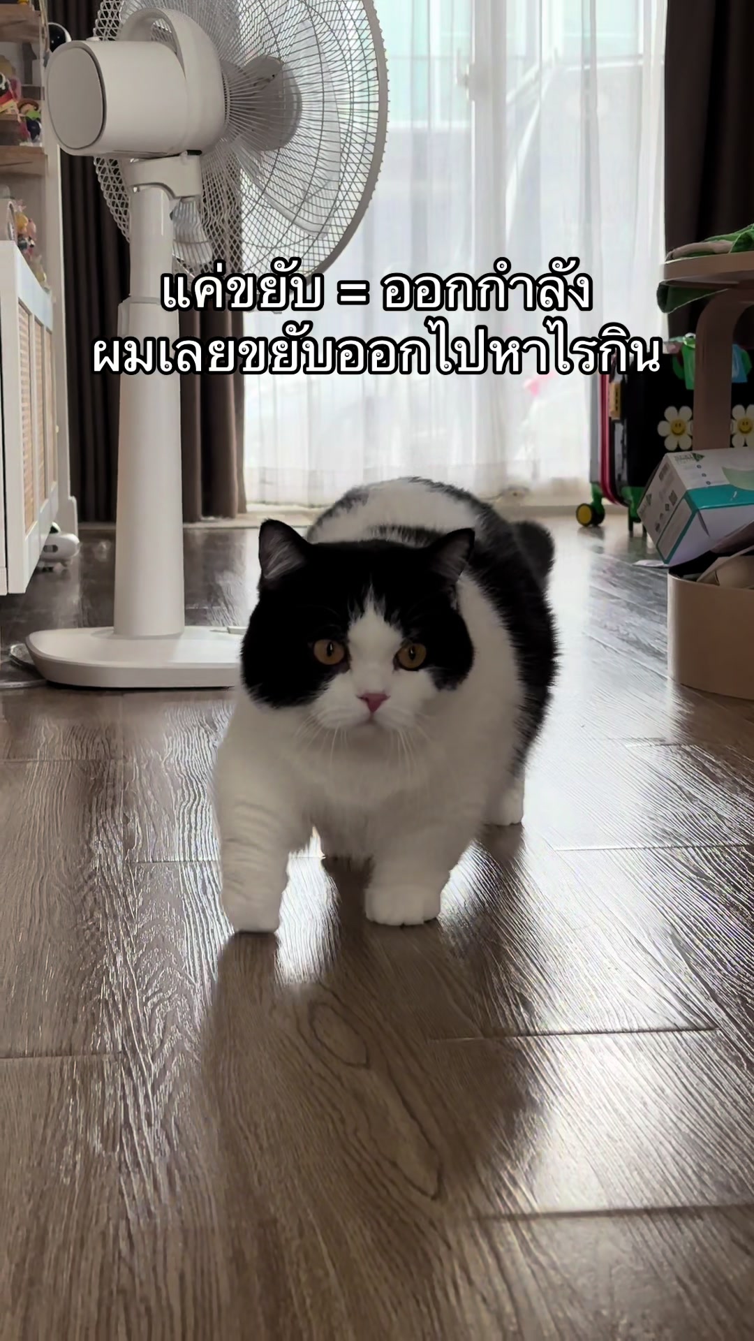 @เยอร์เก้นอยากเป็นดารา