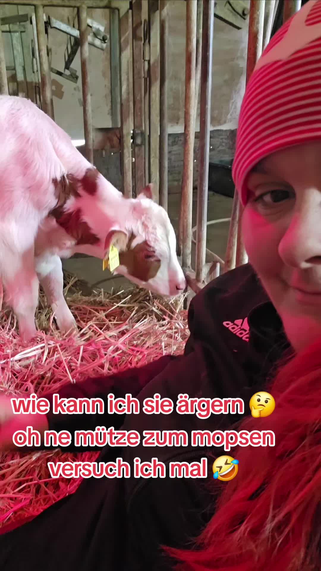 @Kuhflüsterin_aus_Leidenschaft