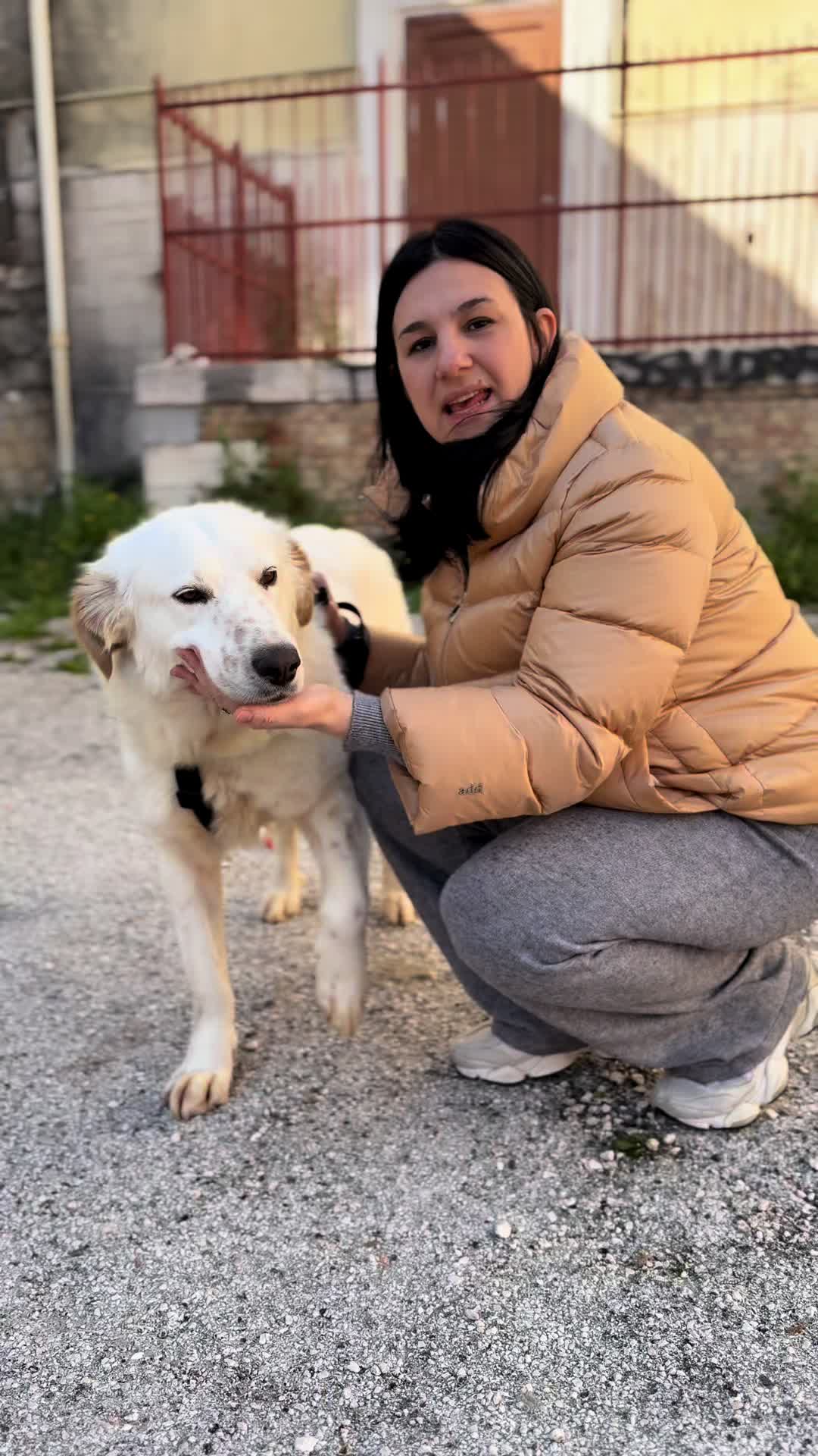 @Solo per amor loro 🐾🐾🐾🐾