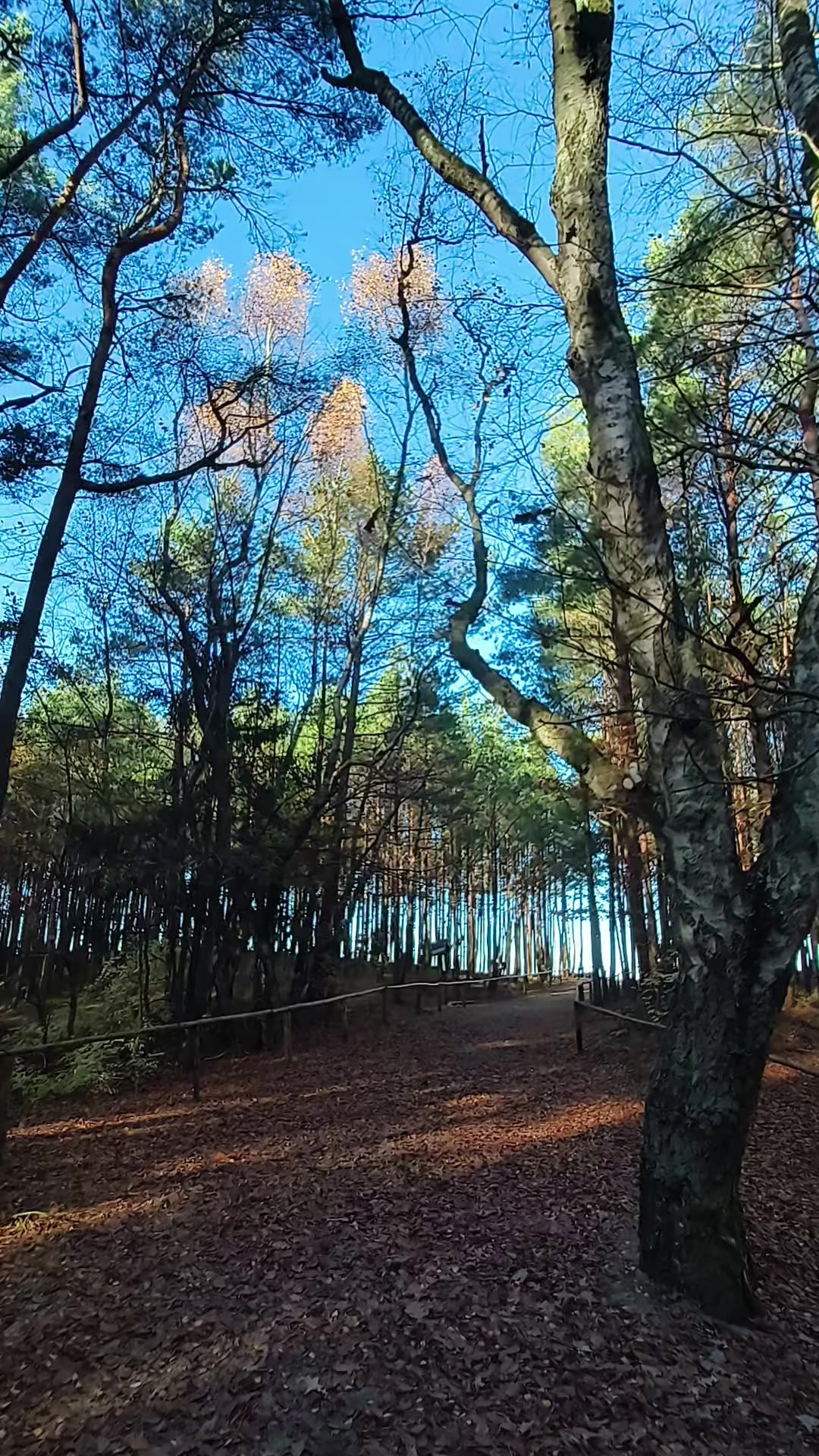 @Paweł