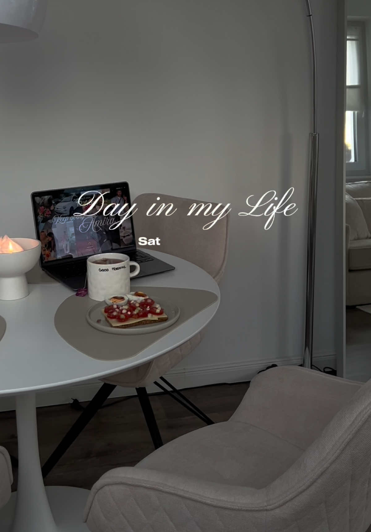 @amira.fzn