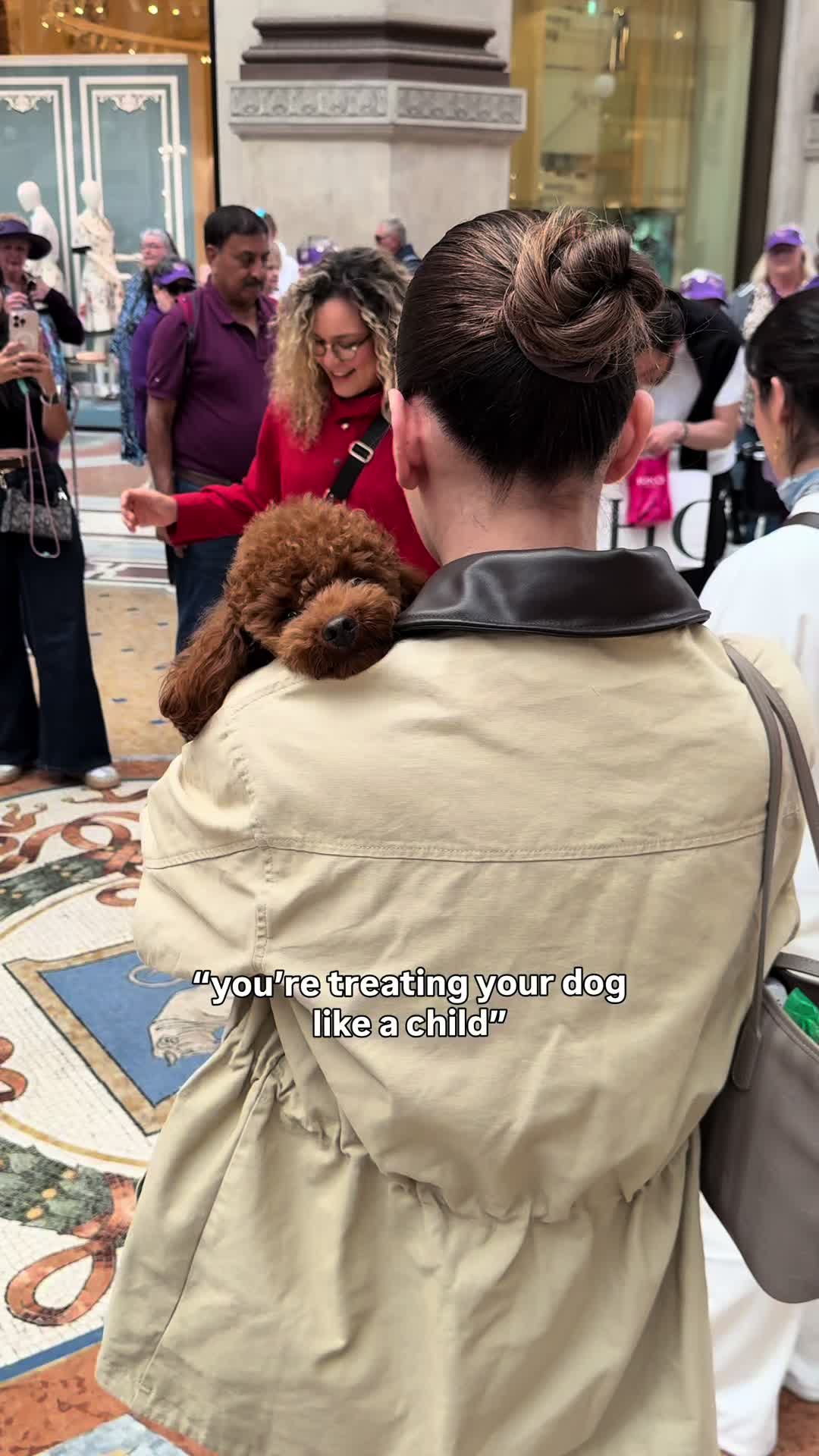 @Two & A Half Poodles | Dog Mom