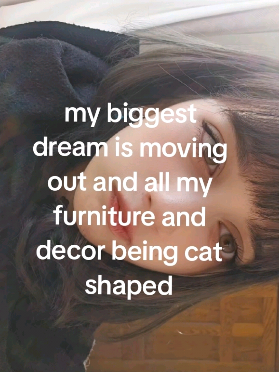 @meow
