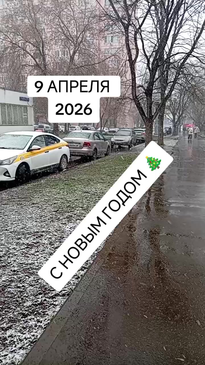 @꧁⪻🎥𝑘i𝓃𝐨š𝒉𝓃ⁱᶄ🎬⪼꧂