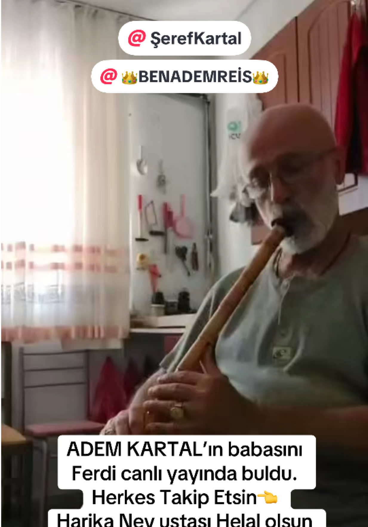 @tik.tok.magazin.