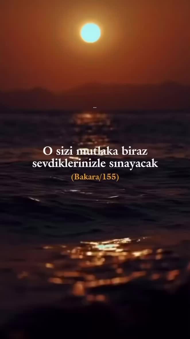 @ainoorf