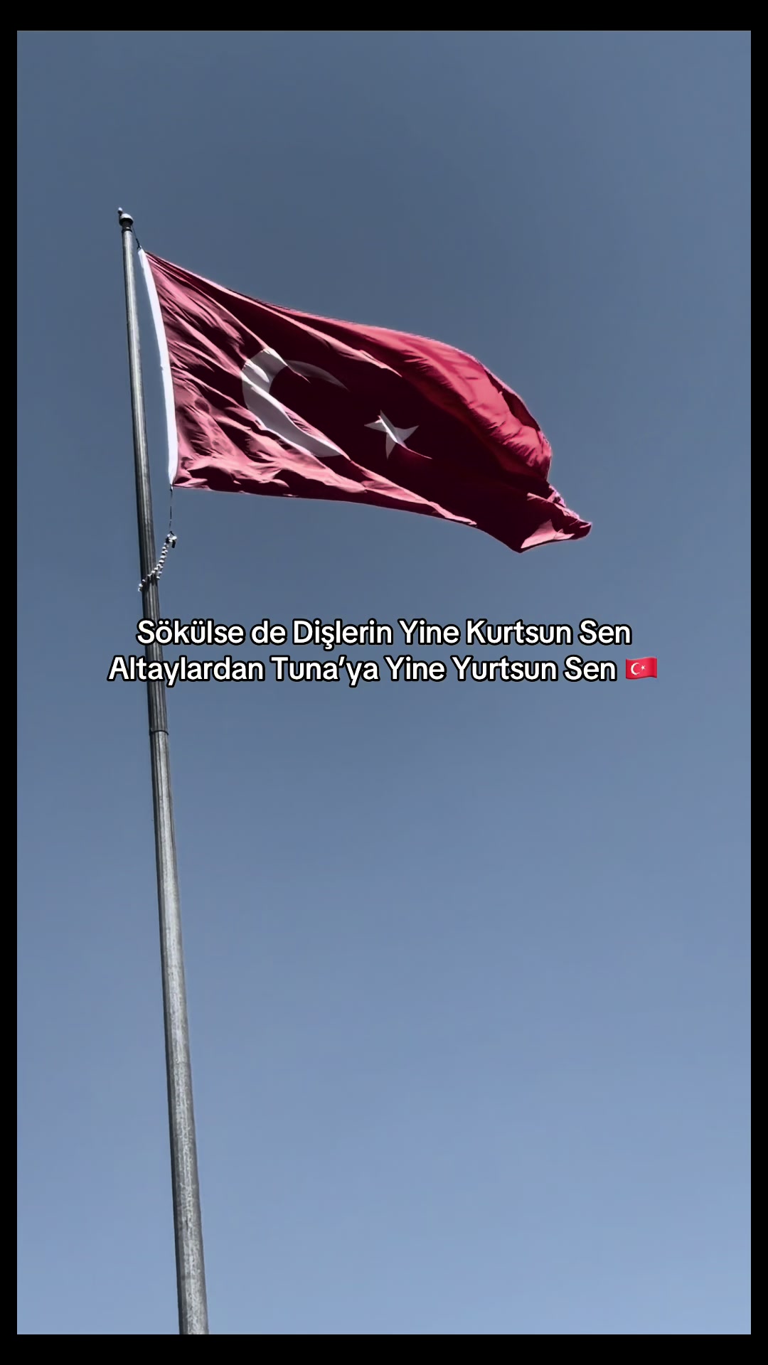 @aliyldzb