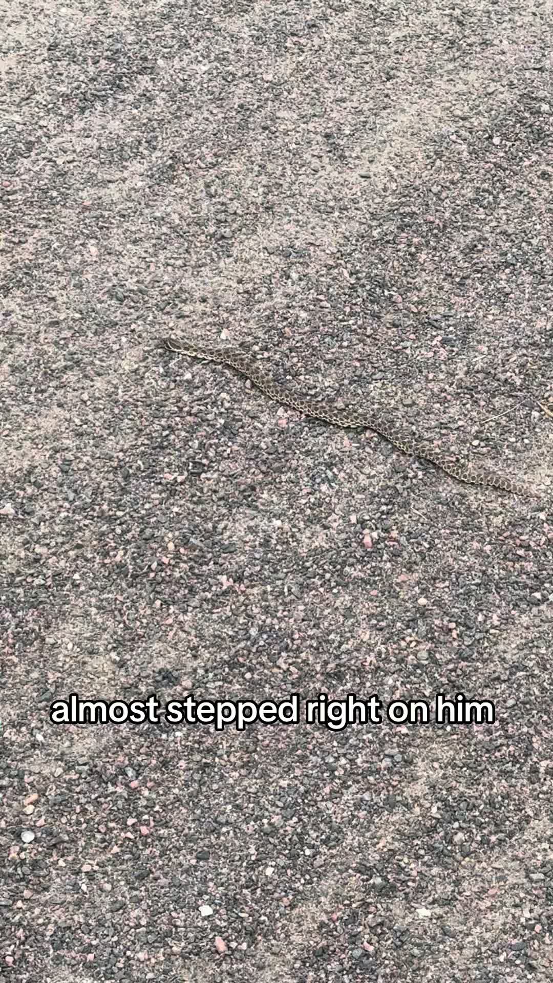 @Melanie 💕