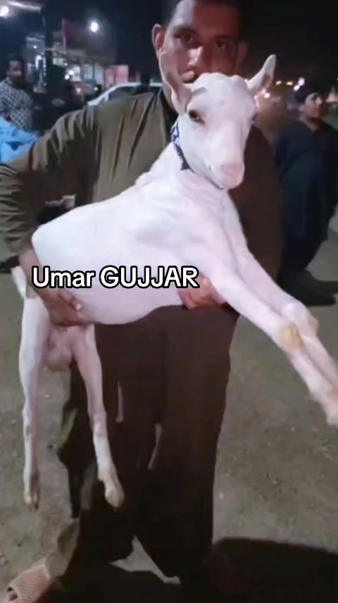 @⚡GUJJAR ⚡