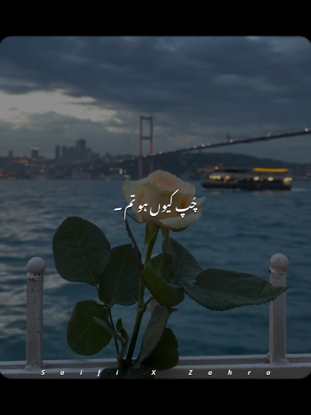 @𝙎𝙖𝙞𝙛𝙞 𝙭 𝘼𝙚𝙨𝙩𝙞𝙘🎧