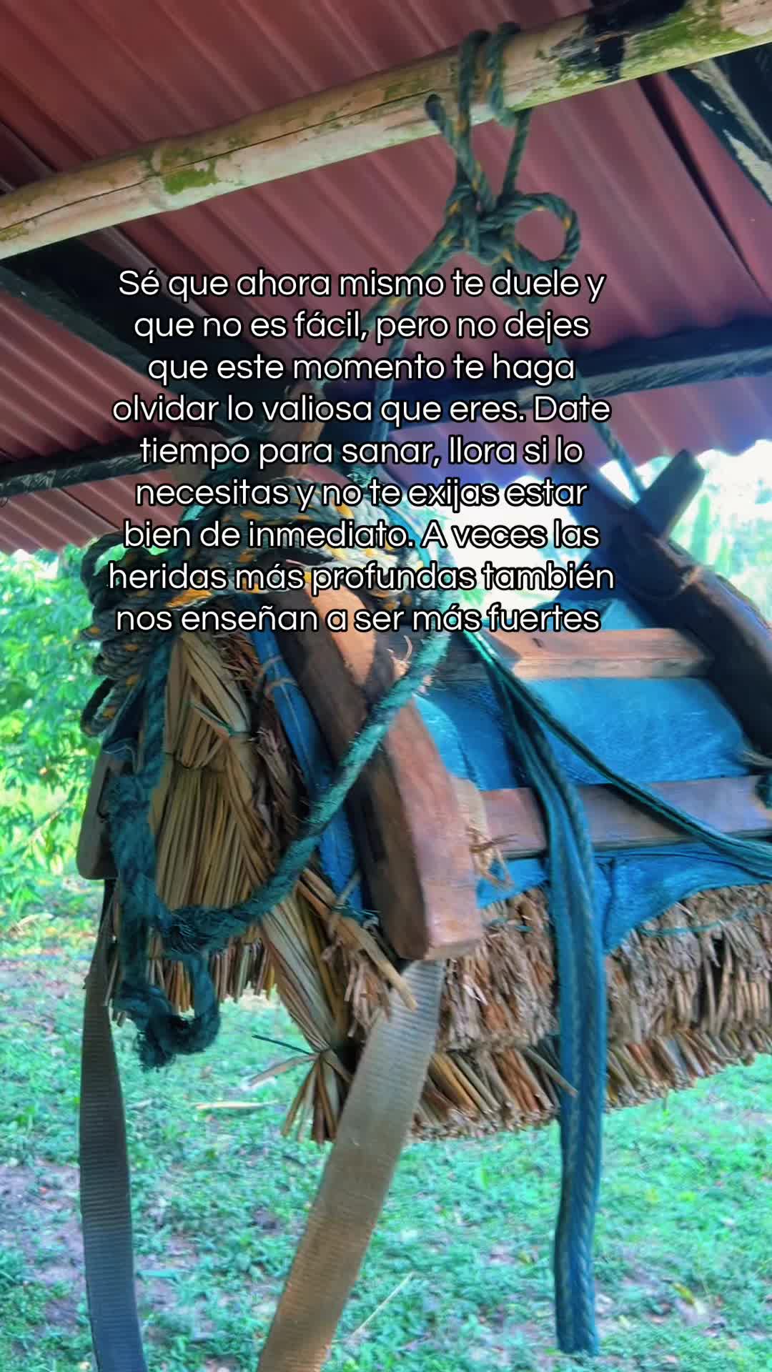 @Kaleider Salcedo