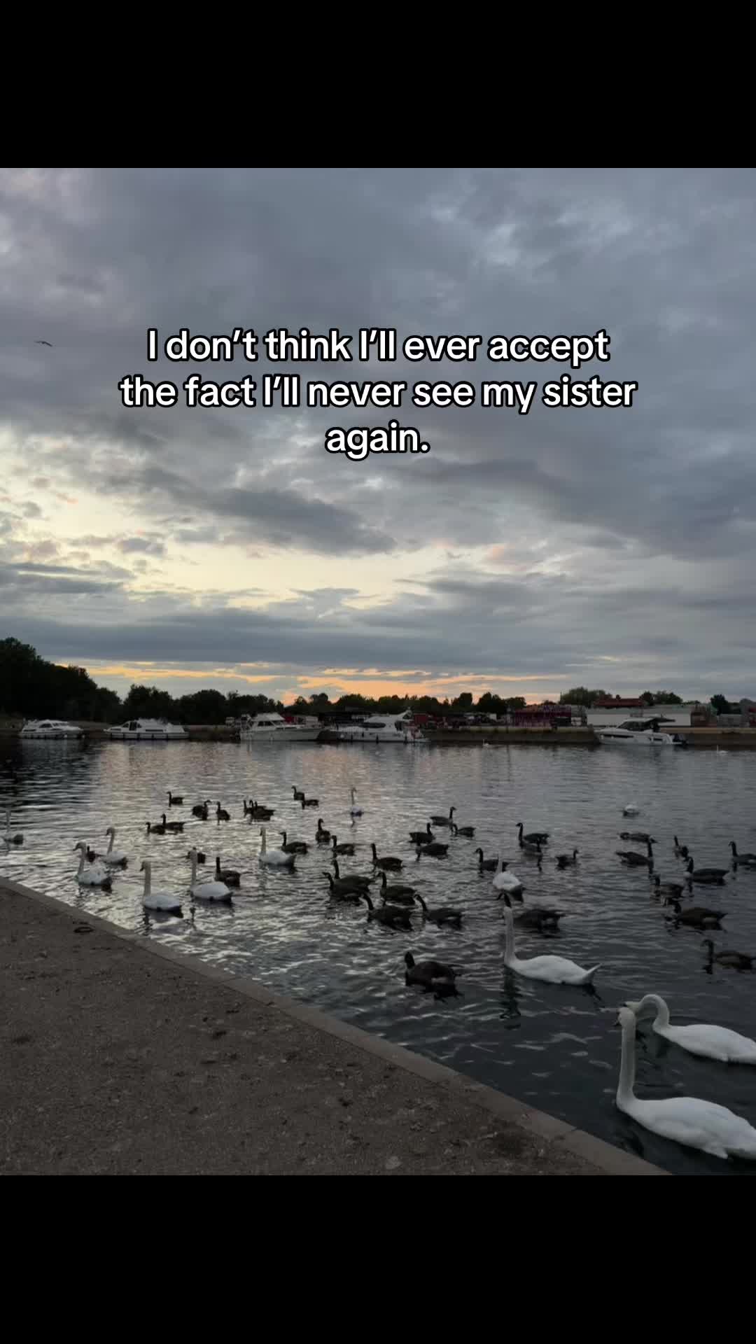 @Cassie Rose